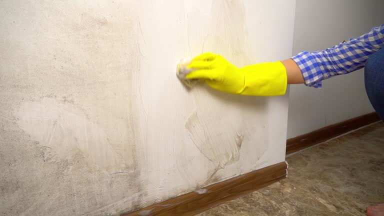 Best Emergency Mold Remediation  in Saw Creek, PA